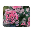 Search for soon magnets Pink