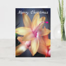 Search for cactus christmas cards Flower