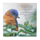 Search for birdwatcher tiles Nature