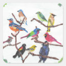 Search for bird drawing stickers Coloured pencil