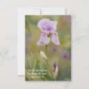 Search for iris note cards Purple