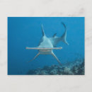Search for mond postcards Nature