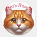 Search for orange tabby cat stickers Kitten