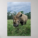 Search for kenya posters Wild