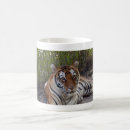 Search for bengal tiger mugs Feline