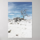Search for sand dune art Photography