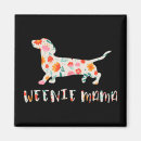 Search for weenies magnets Teckel