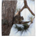 Search for squirrel shower curtains Tree