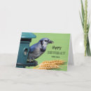 Search for blue jay birthday cards Animal