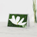 Search for cosmos cards White