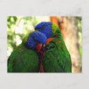 Search for lori postcards Lory