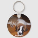 Search for bernard round key rings Dogs