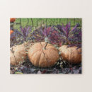 Search for pumpkin puzzles Plants