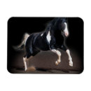 Search for portraits magnets Horse