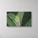 Search for green black stripe art Striped