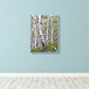 Search for colorado spring art Beautiful