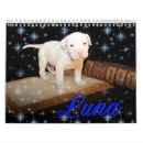 Search for save calendars Rescue