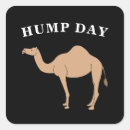 Search for hump stickers Hump day camel