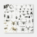Search for zoology magnets Species