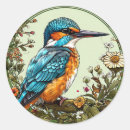 Search for kingfisher stickers Wildlife