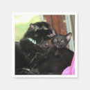 Search for bath time kitchen dining Pets