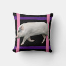 Search for cute pig cushions Piggy