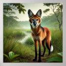 Search for plain posters Fauna