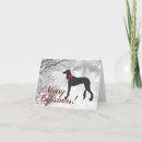 Search for saluki card cards Dog