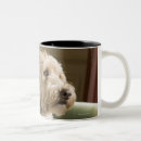 Search for pet sitting mugs Vertical