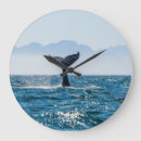Search for whale clocks Sea