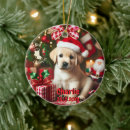 Search for labrador retriever christmas tree decorations Puppy