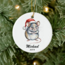 Search for pet rat christmas tree decorations Mouse