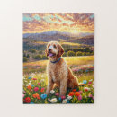 Search for labradoodle puzzles Goldendoodle