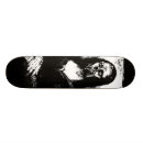 Search for leonardo skateboards Leonardo da vinci