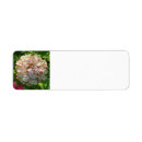 Search for zinnia return address labels Flower