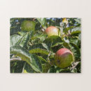 Search for ripened Food