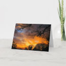 Search for sunset cards Red