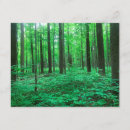 Search for state park invitations Trees