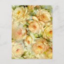 Search for peace rose postcards Roses