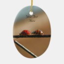 Search for ladybug oval christmas tree decorations Cute