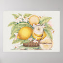 Search for citron posters Fruit