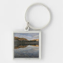 Search for reflections key rings Scenic