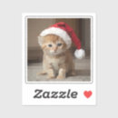 Search for the cat in the hat stickers Celebration