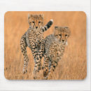 Search for alertness mousepads Colour image