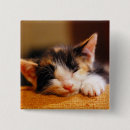 Search for sleep badges Cute animals