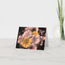 Search for blank floral note cards Photography