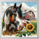 Search for black white sunflower art Farm