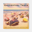 Search for galveston magnets Texas