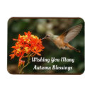 Search for autumn magnets Pretty
