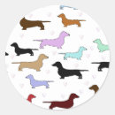 Search for birthday dachshund stickers Pet